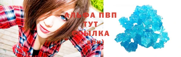твердый Новодвинск