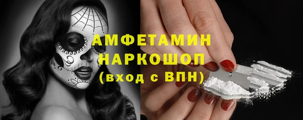 спиды Новозыбков