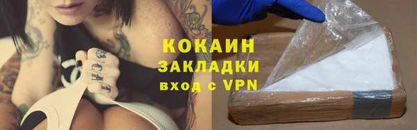 спиды Новозыбков
