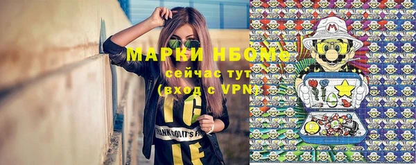 спиды Новозыбков