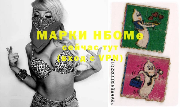 метадон Няндома