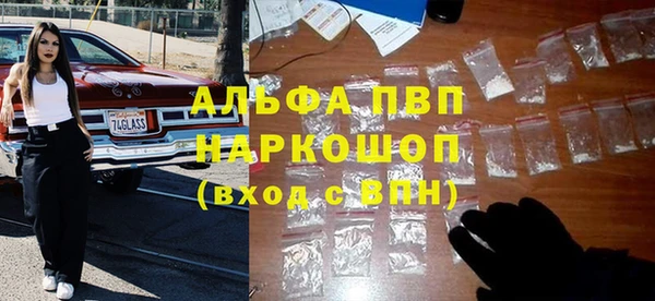 спиды Новозыбков