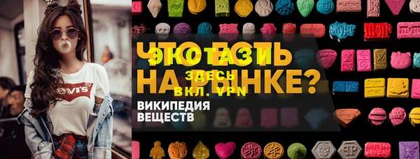твердый Новодвинск