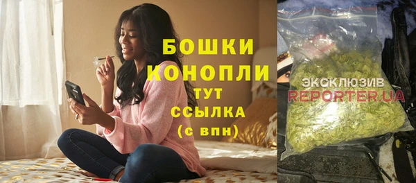 спиды Новозыбков