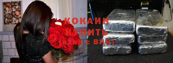 спиды Новозыбков