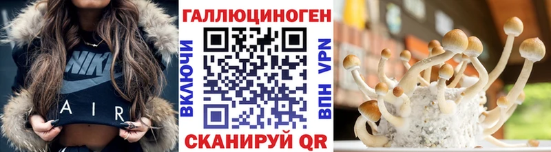 Псилоцибиновые грибы ЛСД  цена   KRAKEN зеркало  Кувшиново 